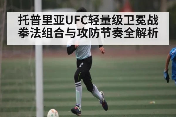 托普里亚UFC轻量级卫冕战拳法组合与攻防节奏全解析